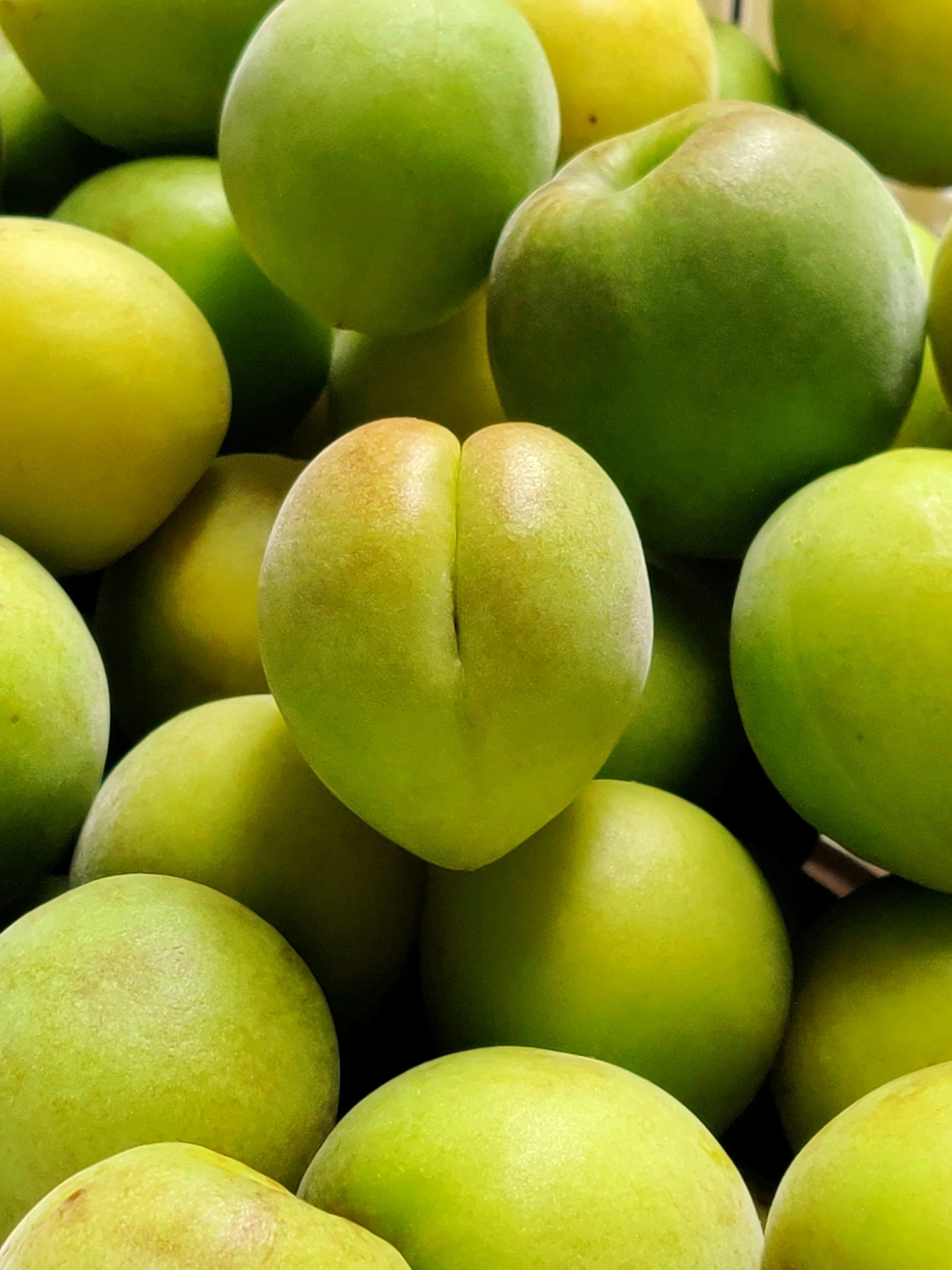 Tangy, Salty, Legendary: Dive Into Japan’s Zestiest Superfood